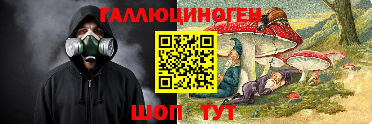 Псилоцибиновые грибы MAGIC MUSHROOMS  Вход с VPN  Псилоцибиновые грибы Cubensis  Мурманск 